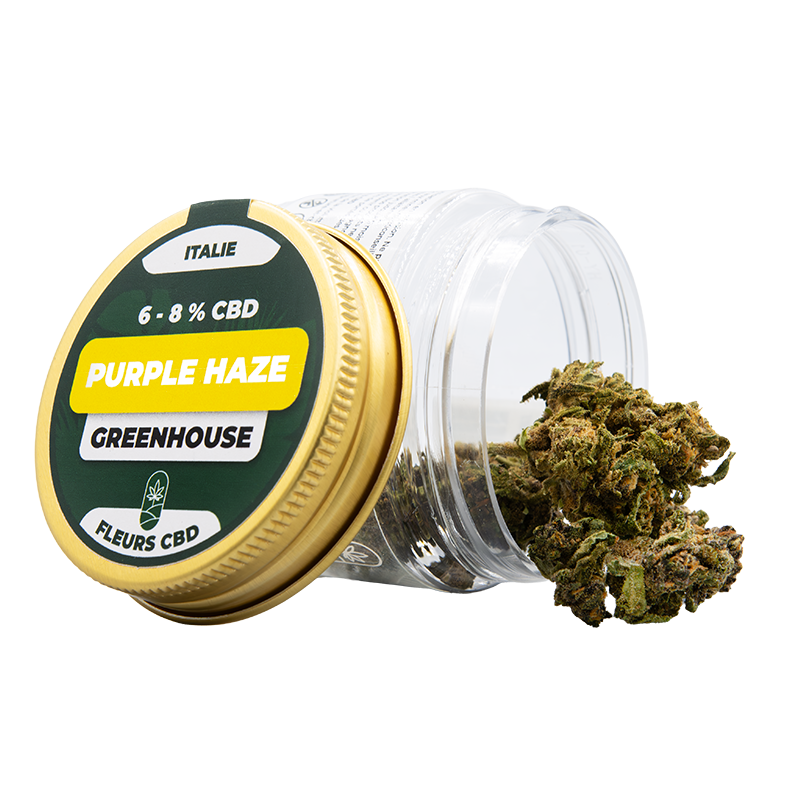 Fleurs CBD en pot - Purple...