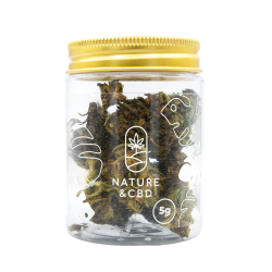 Fleurs CBD en pot - Purple...