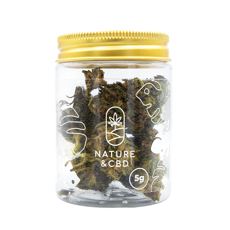 Fleurs CBD en pot - Purple...