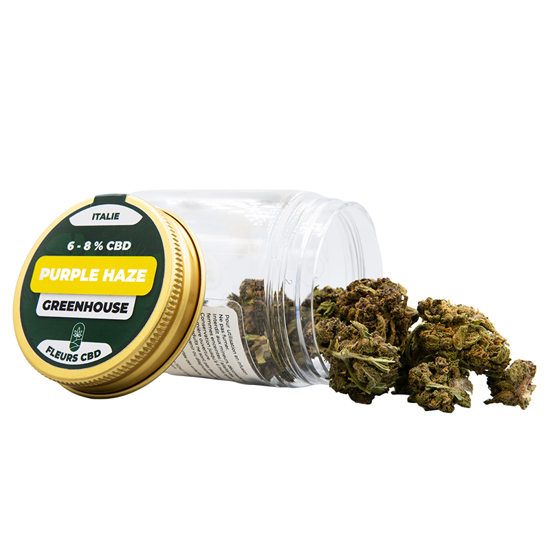 Fleurs CBD en pot - Purple...