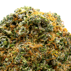 Fleurs CBD VRAC - Blue Diesel