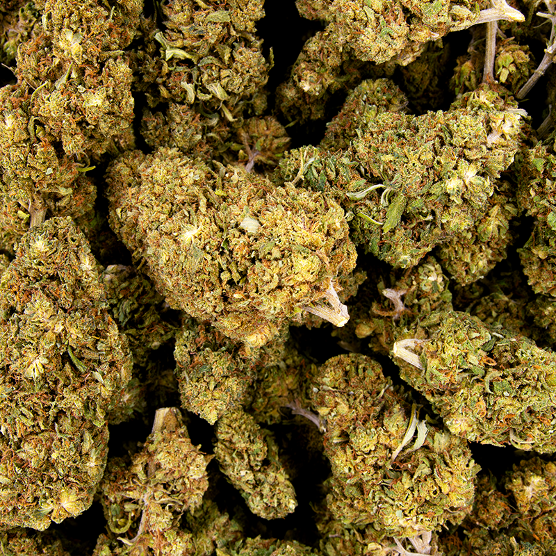 Fleurs CBD VRAC - Tropical...