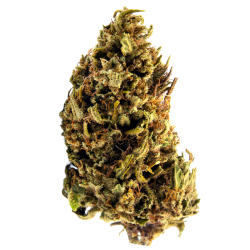 Infusion Fleurs CBD - Sour...