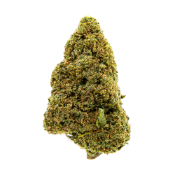Fleurs CBD - Silver Haze