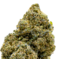 Fleur CBD VRAC - Doc Cream...