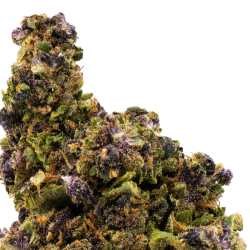 Fleurs CBD VRAC - Forbidden...