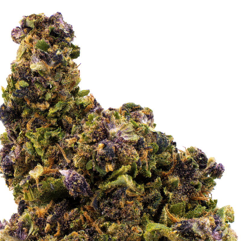 Fleurs CBD - Forbidden fruit