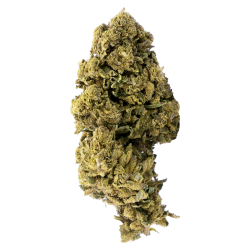 Fleurs CBD - White Widow 5...