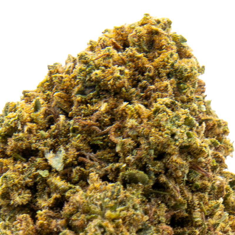 Fleurs CBD - Northern Light