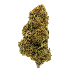 Fleurs CBD - Northern Light