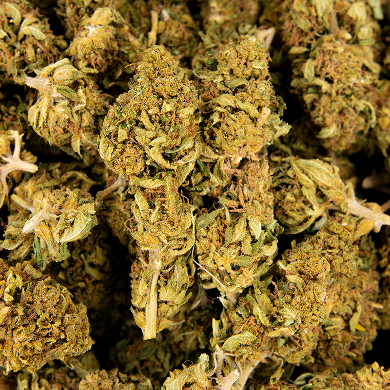 Fleurs CBD VRAC - Gelato