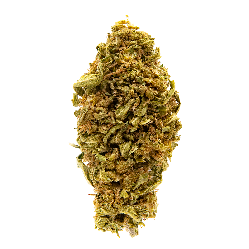 Fleurs CBD VRAC - Gelato
