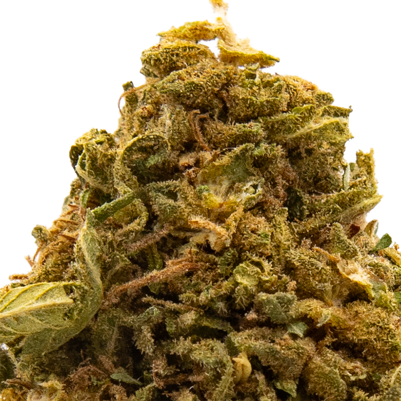 Fleurs CBD - Gelato
