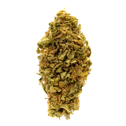 Fleurs CBD - Gelato