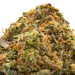 Fleurs CBD VRAC - Zkittlez