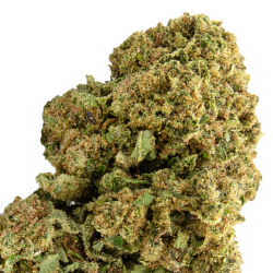 Fleurs CBD VRAC - Amnesia...