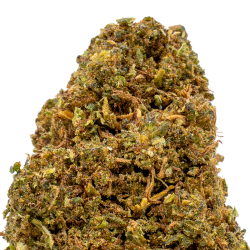 Fleurs CBD VRAC - Orange RUSH
