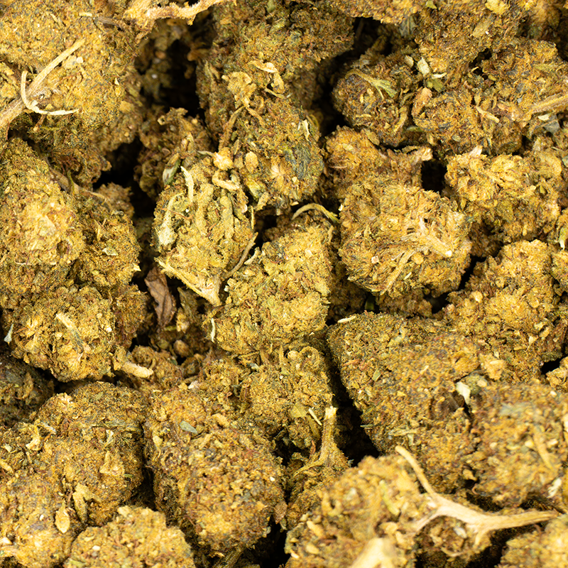 Fleurs CBD VRAC - Harlequin...