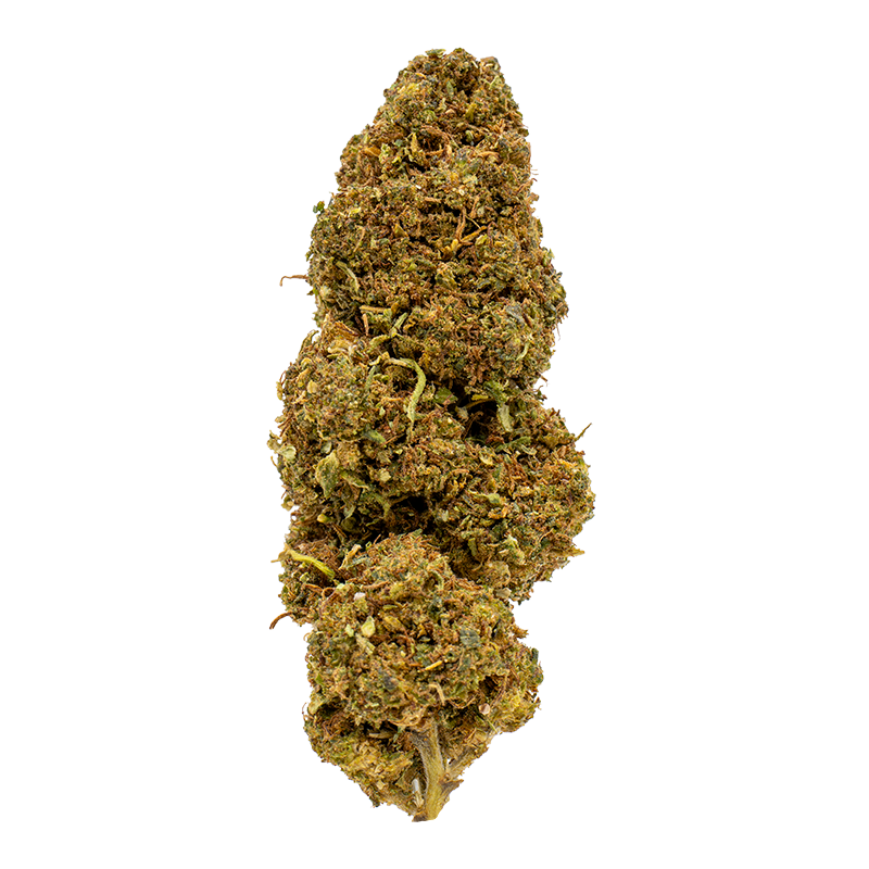 Fleurs CBD - Orange RUSH