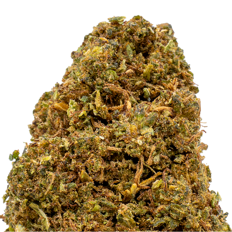 Fleurs CBD - Orange RUSH