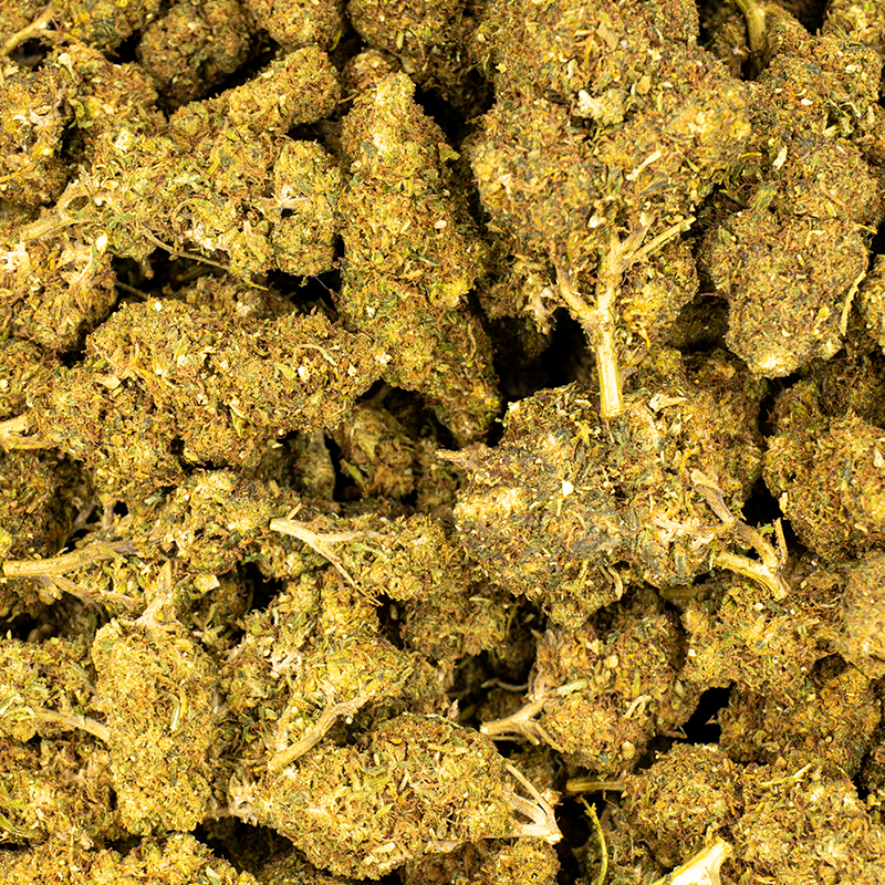 Fleurs CBD - Orange RUSH