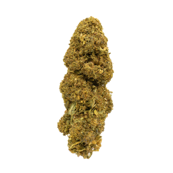 Fleurs CBD - Harlequin REDLINE