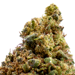 Fleurs CBD VRAC - Amnesia...