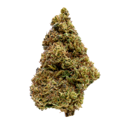 Fleurs CBD - Amnesia...