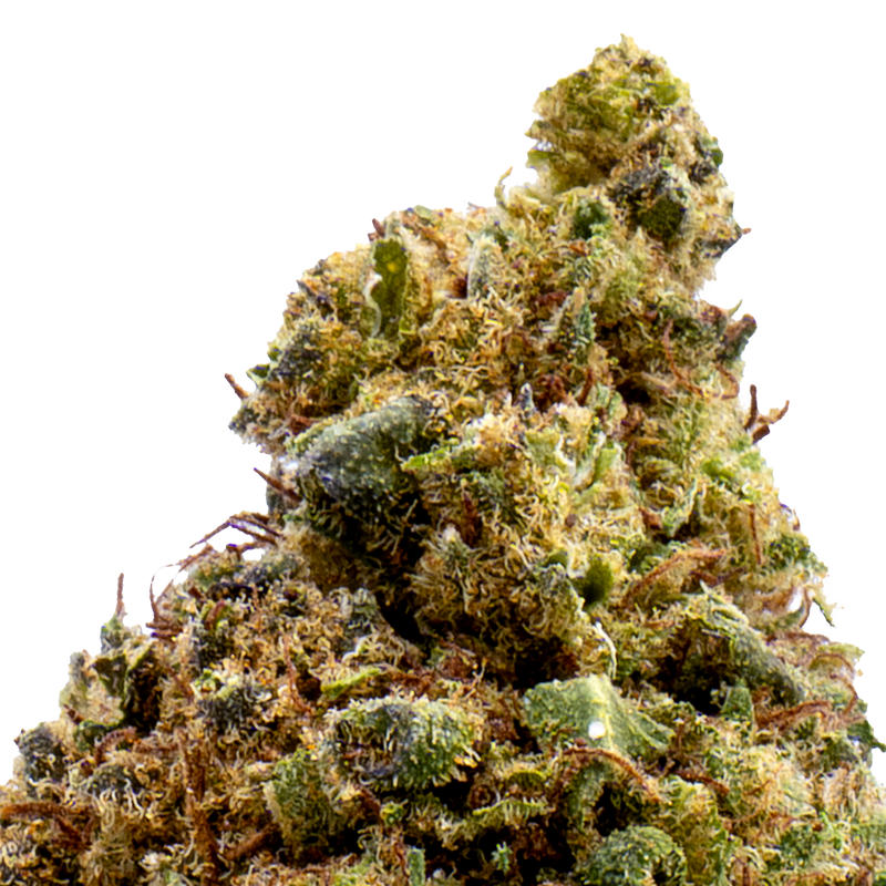 Fleurs CBD - Amnesia...