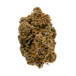 Fleurs CBD - Runtz