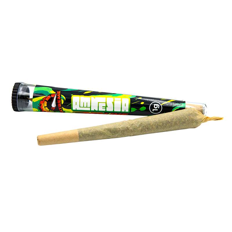Présentoir Pre-roll Amnesia...