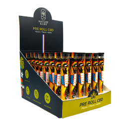 Présentoir Pre-roll Mango RUSH
