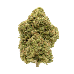 Fleurs CBD - Ice Remedy