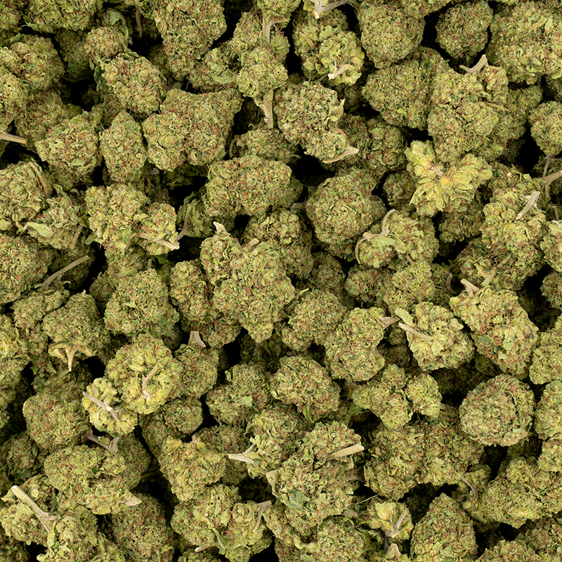 Fleurs CBD - Ice Remedy