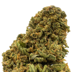 Fleurs CBD VRAC - Pineapple