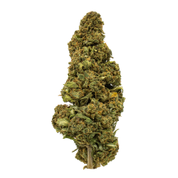 Fleurs CBD - Pineapple