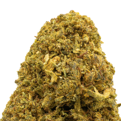 Fleurs CBD VRAC - Harlequin...