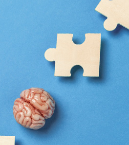 Article lié : Le CBD contre les lésions cérébrales (Alzheimer, épilepsie...)