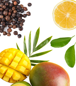 Guide des terpènes : Comprendre, Effets...