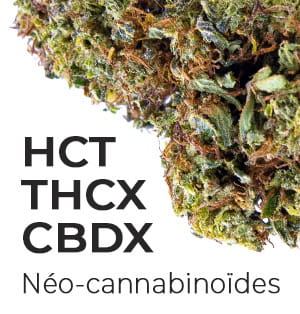 Néo-cannabinoïdes
